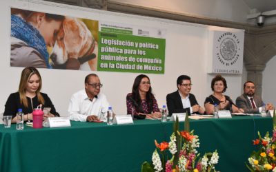 Congreso de CDMX fortalecerá legislación en favor de animales