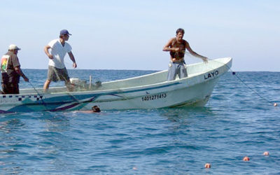 Define Sader zona de refugio pesquero aBanco Chinchorro, Q. Roo