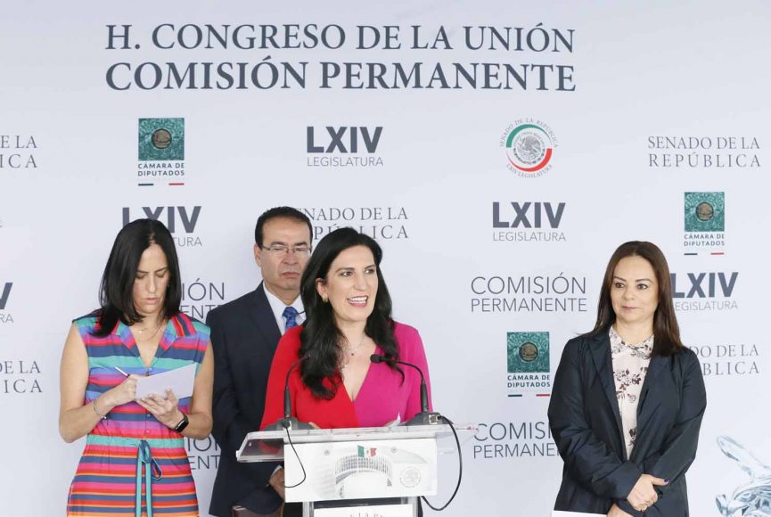 Titular de Bienestar debe comparecer en el Congreso: López Rabadán
