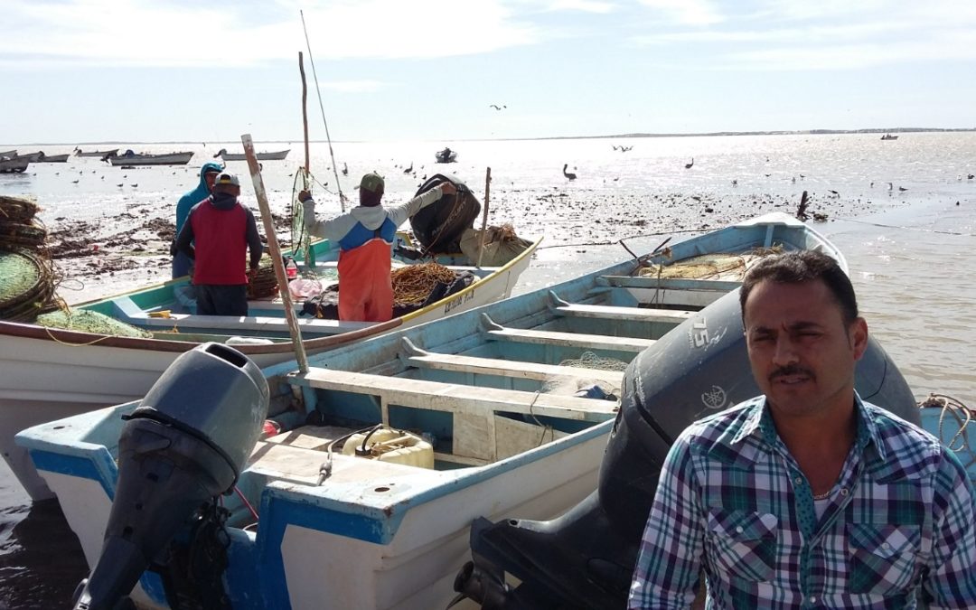 Marcharán cooperativistas pesqueros a AMLO aumento a presupuesto