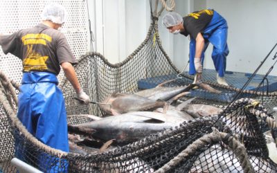 Pactan Conapesca y Cooperativas fortalecer sector pesquero y acuícola
