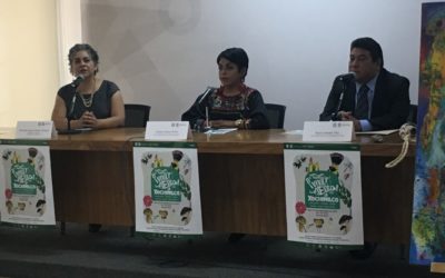 Festival ¡Viva México en Xochimilco