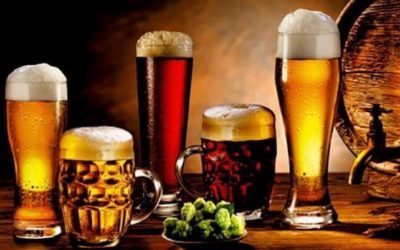 Buscan reducir IEPS y fortalecer a cerveceros artesanales