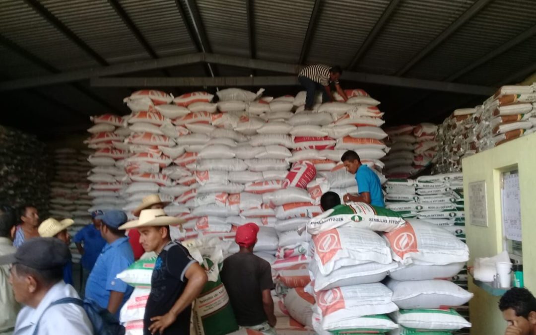 Inicia entrega de fertilizante gratuito a productores de Querétaro