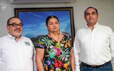 Exigen a CFE legisladores de Yucatán no cortar servicio en contingencia por falta de pago