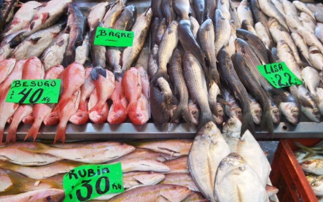Prohibirán importación de filetes de pescado frescos, refrigerados y congelados