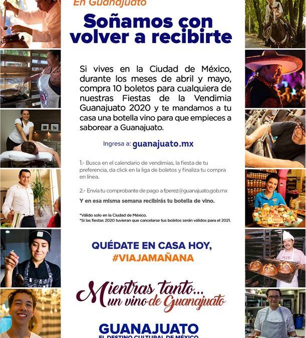 Lanzan campaña “Mientras Tanto un Vino de Guanajuato”