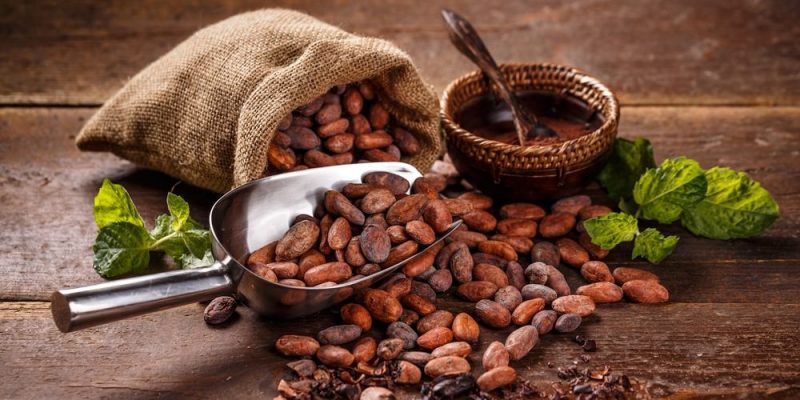 Cuenta México con potencial para autosuficiencia en cacao