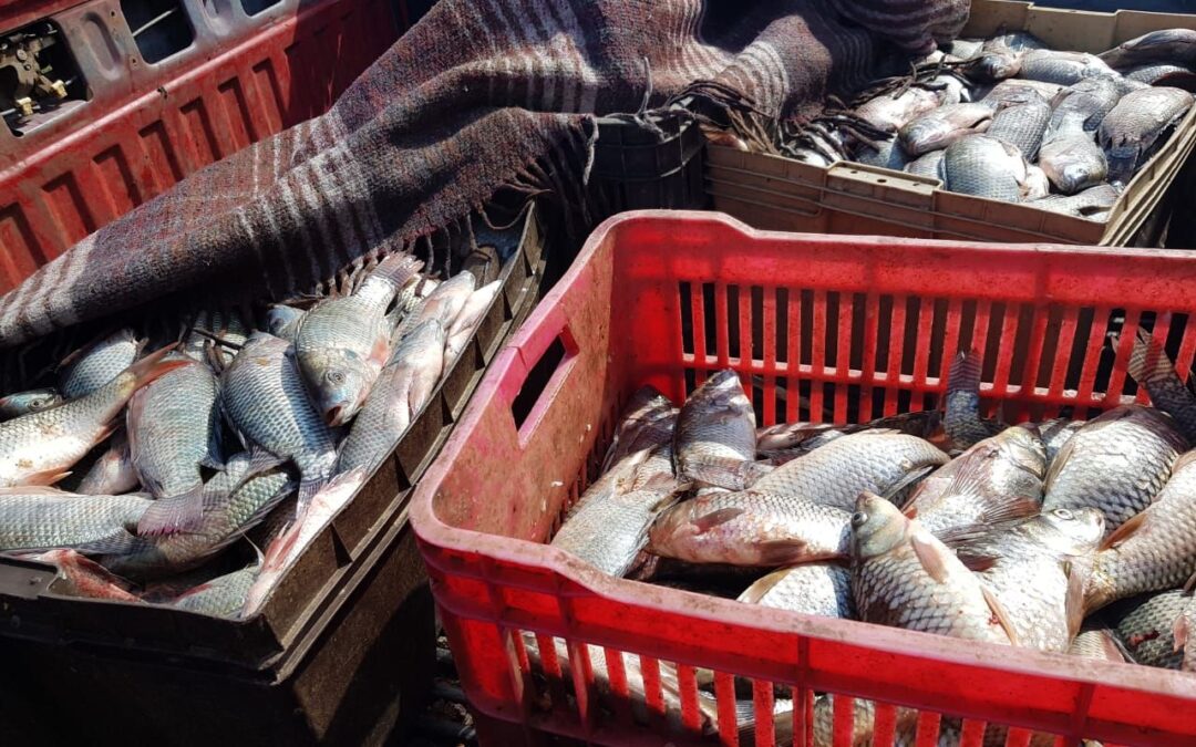 Conapesca retiene 145.14 toneladas de producto pesquero