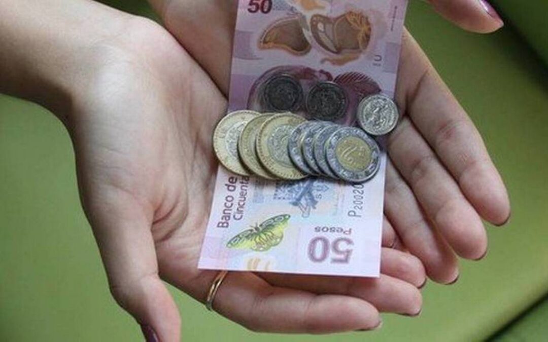 Propone Coparmex salario mínimo de 135.83 pesos para 2021