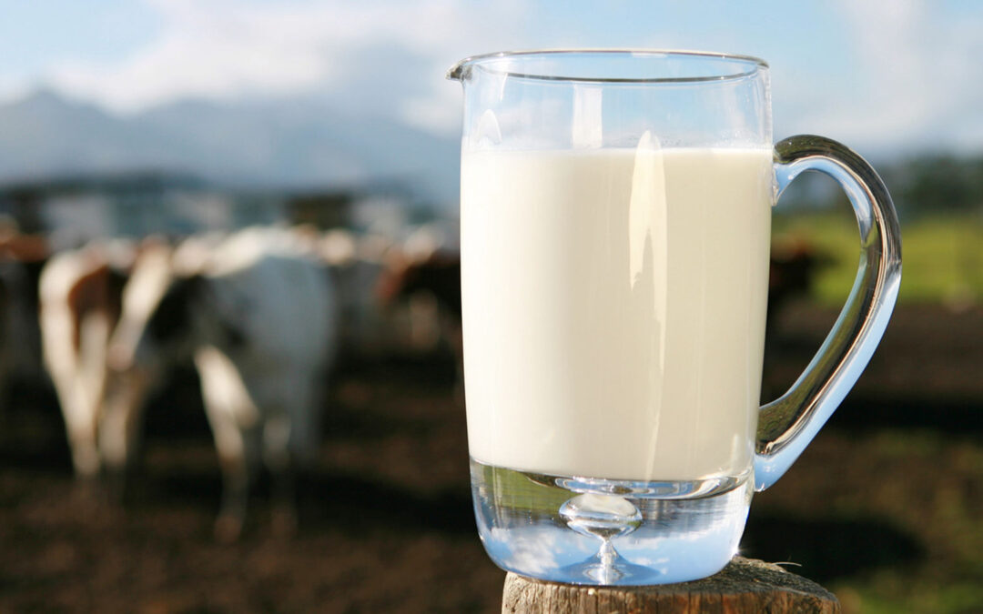 México, primer lugar mundial en compras de leche al extranjero