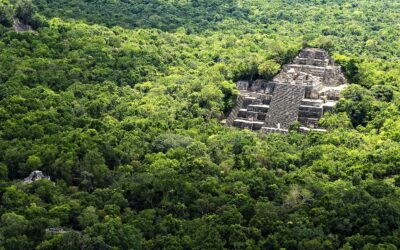Calakmul, riqueza cultural del Mundo Maya