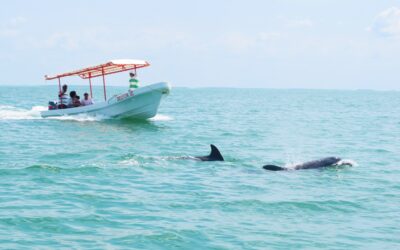 Isla Aguada, para disfrutar en Campeche