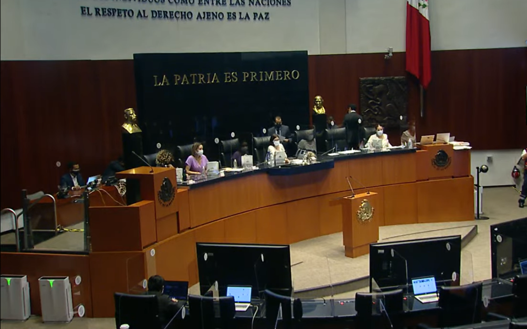 Senadores de oposición presentan acción de inconstitucionalidad contra Ley Zaldívar