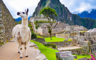 Se suma Perú  para remover  barreras al turismo con WTTC