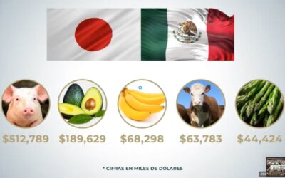 Japón, el principal mercado de alimentos mexicanos en Asia-Pacífico