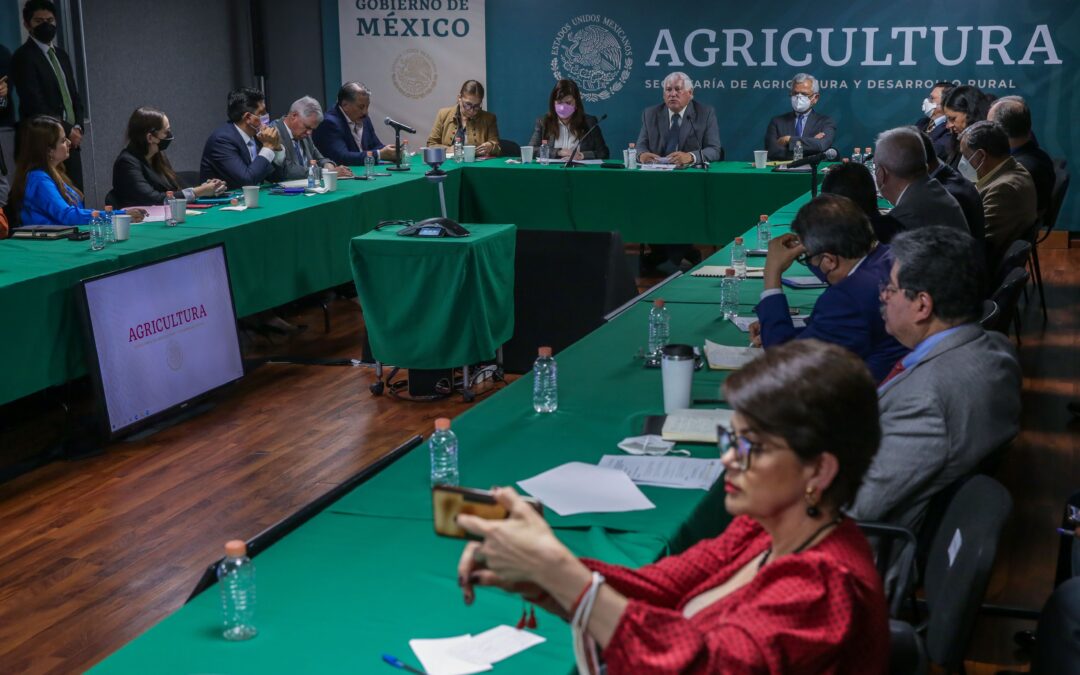 Analizan Agricultura y legisladores producción de alimentos en México