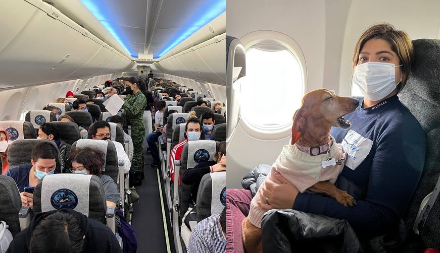Mexicanos y un perrito evacuados de Ucrania vuelan a CDMX