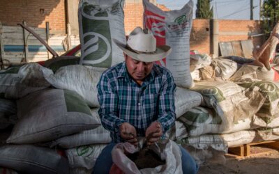 Amplía Gobierno de México programa de fertilizante gratuito