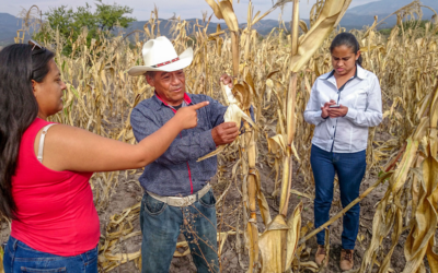 Inicia Agricultura entrega de fertilizante gratuito para agricultores en Morelos