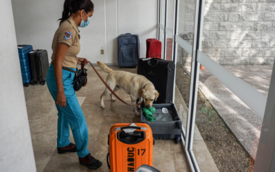 Capacita Agricultura a instructores caninos de Honduras y Nicaragua