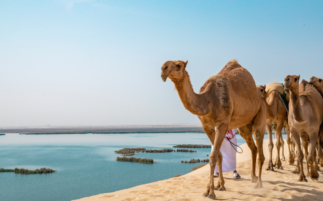 Alinearán esfuerzos en Cumbre del WTTC en Arabia Saudita para recuperar Turismo