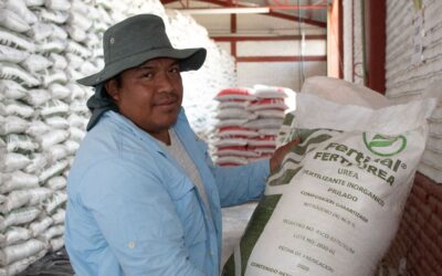 Entregarán fertilizantes a más de 51 mil productores de Guanajuato
