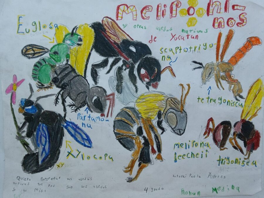 Celebra Agricultura Concurso de dibujo infantil “Las abejas y su entorno”