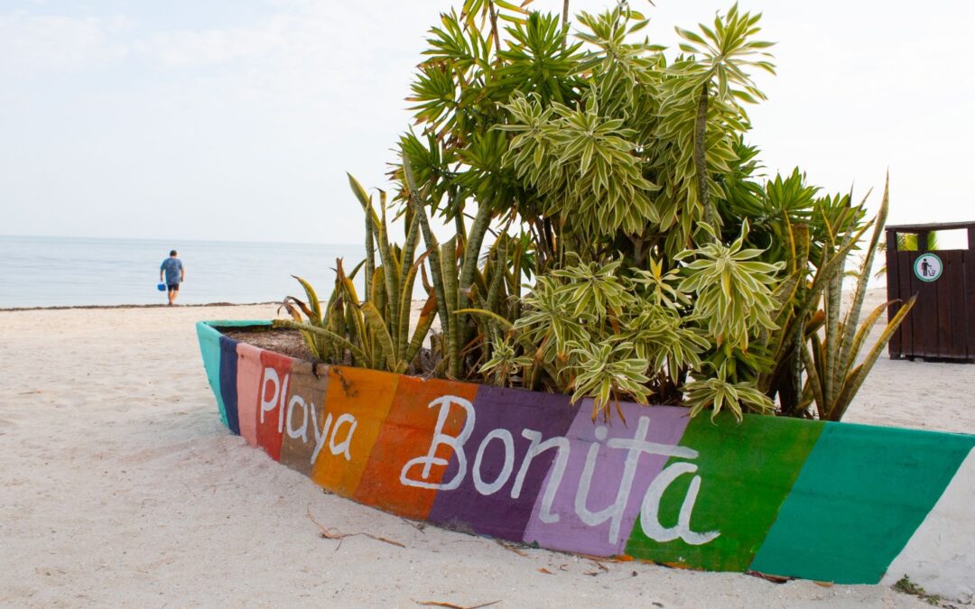 Aptas para uso recreativo 275 playas mexicanas