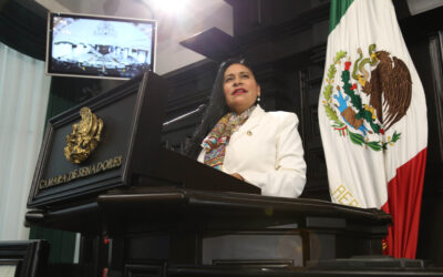 Llama Ana Lilia Rivera a integrantes del Senado a privilegiar labor legislativa 