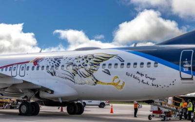 Aeroméxico y Museo Tamayo transforman avión en obra de arte