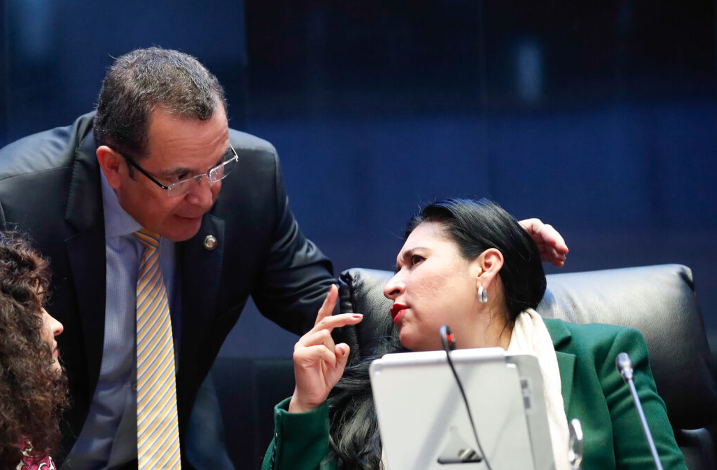 Llama Ana Lilia Rivera a integrantes del Tribunal Electoral dirimir diferencias 