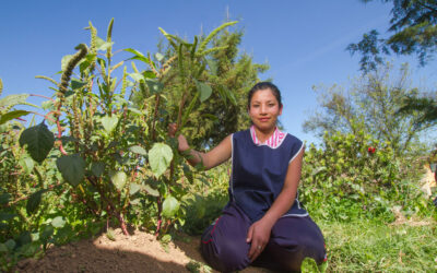 Impulsan programas de desarrollo agrícola y ambiental en Texcoco
