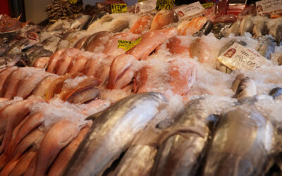 Garantizan productores abasto y precios accesibles de pescados y mariscos