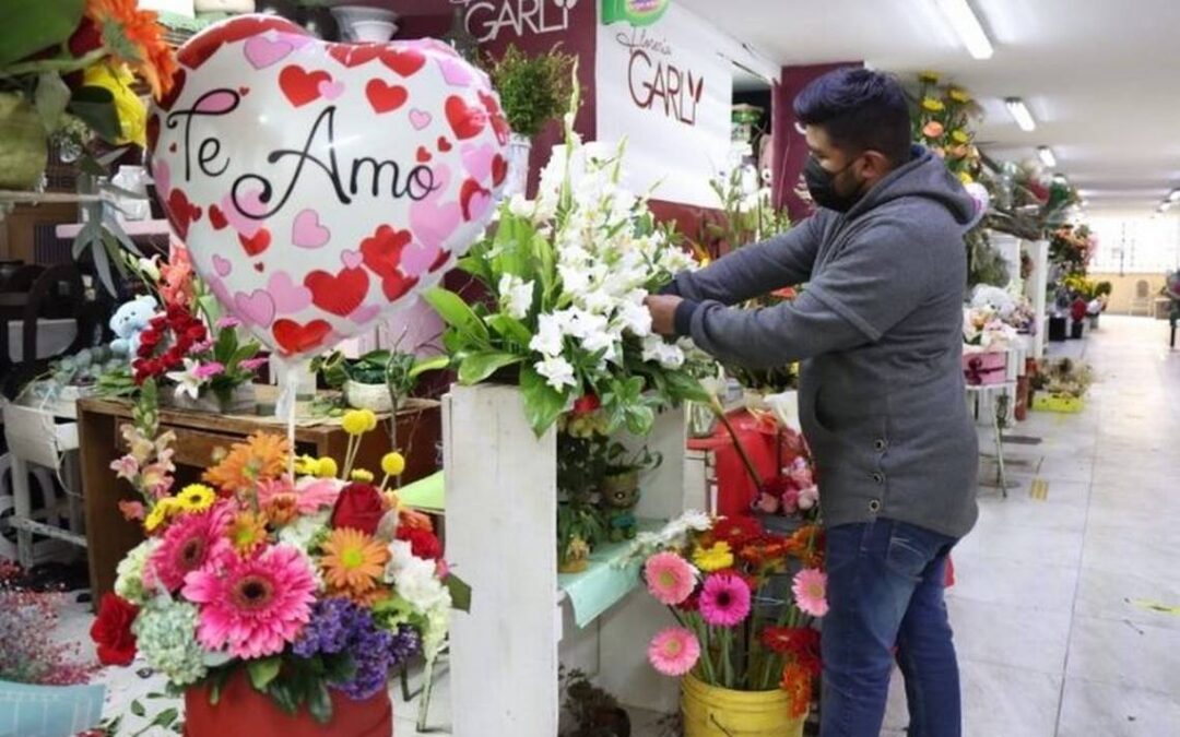 Garantizan abasto de flores para festejos de 14 de febrero