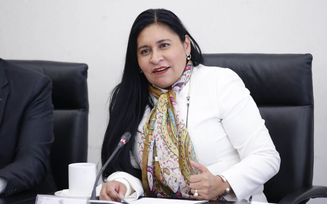 Hay tiempo suficiente para analizar iniciativas de AMLO: Ana Lilia Rivera