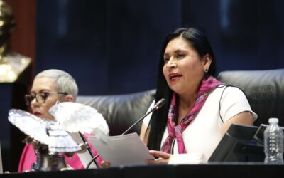 Senadores de Morena se reunirán el martes con AMLO: Ana Lilia Rivera